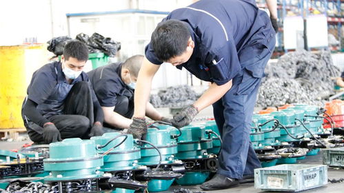 價格與價值:爬架電動提升機的檢測技術(shù)服務(wù)探討